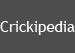 SocialKonnekt Client Crickipedia