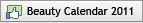 Beauty Calendar 2011 